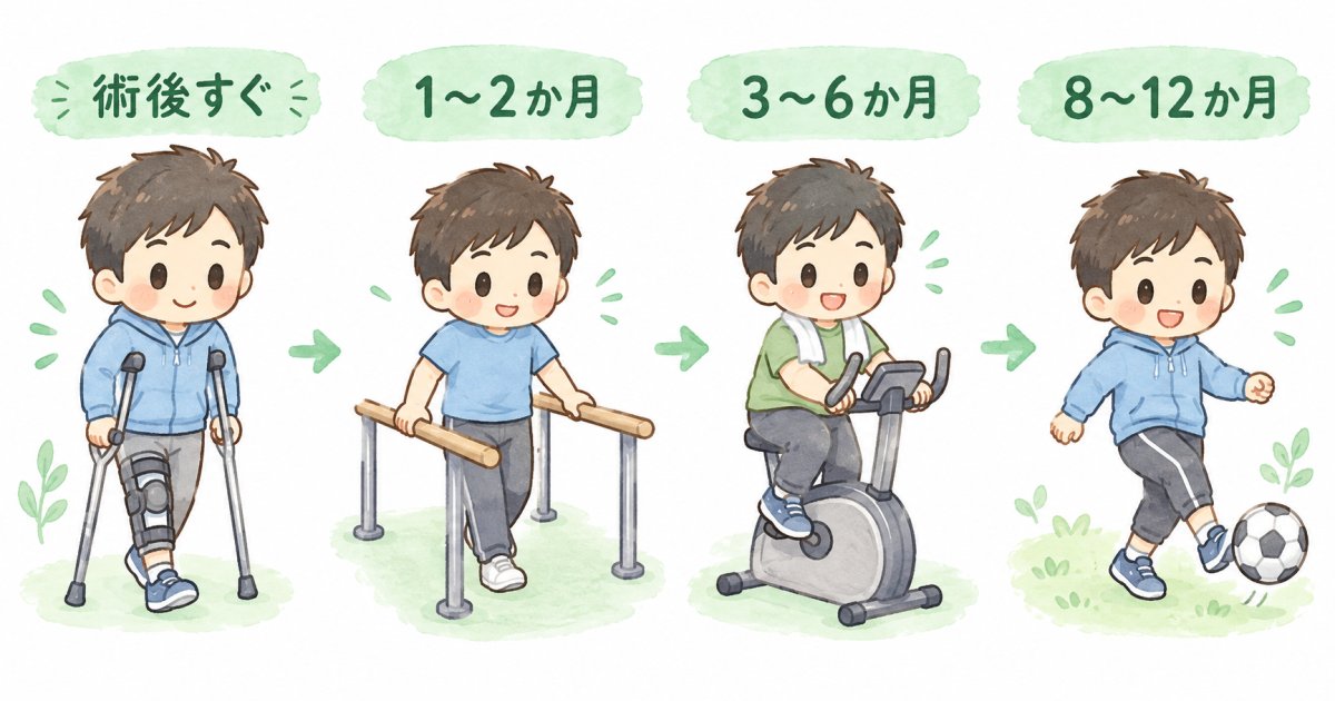 手術療法を選んだ場合の復帰までの流れ、目安は8〜12か月